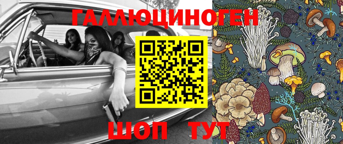 Галлюциногенные грибы Psilocybe  Вход с VPN  Рубцовск  Псилоцибиновые грибы Psilocybe 